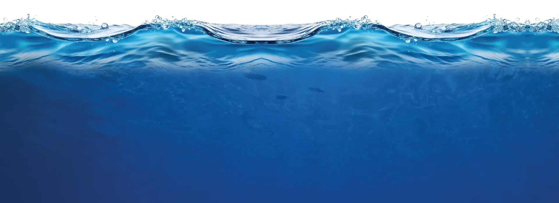 The Ultimate Shield for Your Family’s Health